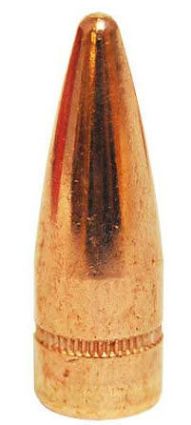 30 Caliber Hornady Bullets 125 grain FMJ