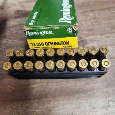 Remington 22-250 PLHP 55gr Ammo