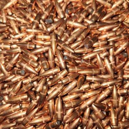 22 cal Bullets (.224) 55 gr FMJBT Winchester