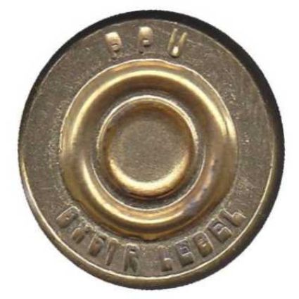 8x51R Lebel Once Fired Brass